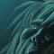 deprofundis_couv