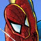 spiderman_poche