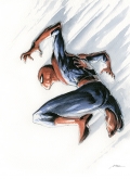 spidey_falling